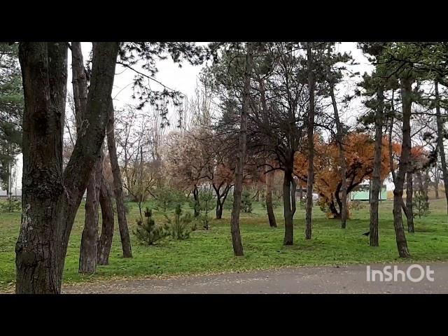 Осенний парк Кременчуга. Autumn Park of Kremenchug.