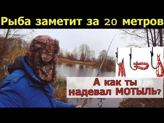 Рыба видит за 20 метров. Как надевать мотыль Осенью на Рыбалке. Наживка мотыль. Как хранить мотыль.