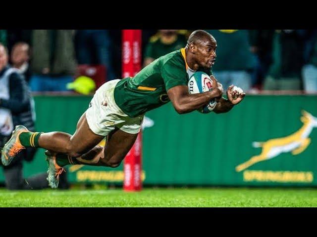 Top 20 Springbok Tries In The Last 5 Years That Shocked The World