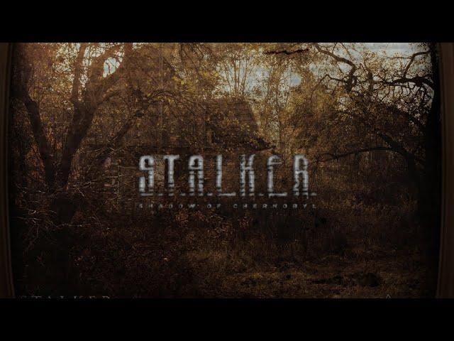 S.T.A.L.K.E.R: Cold Autumn