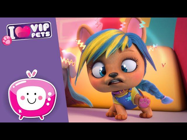  ¡NO MÁS QUEJAS!  VIP PETS  Nuevo Episodio  VÍDEOS y DIBUJOS ANIMADOS para NIÑOS en ESPAÑOL