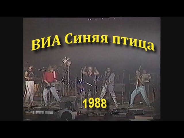 Синяя птица 1988 // Концерт //