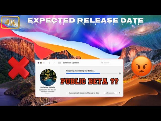 macOS 11 Big Sur Public Beta - Where is it? Expected Release Date