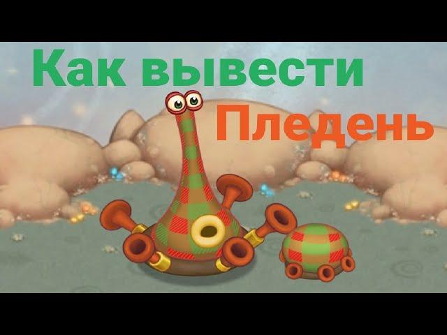 Как вывести Пледень