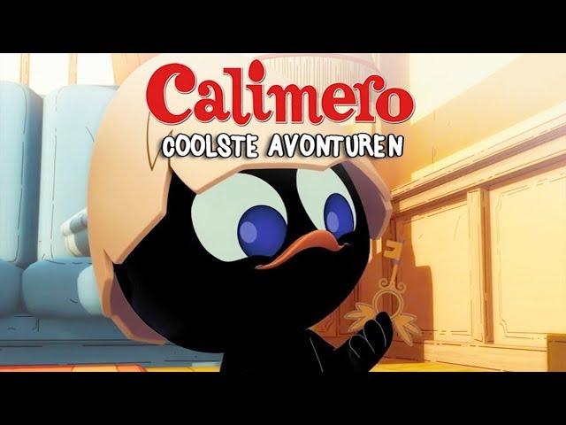 Calimero's Coolste Avonturen - Nederlands gesproken