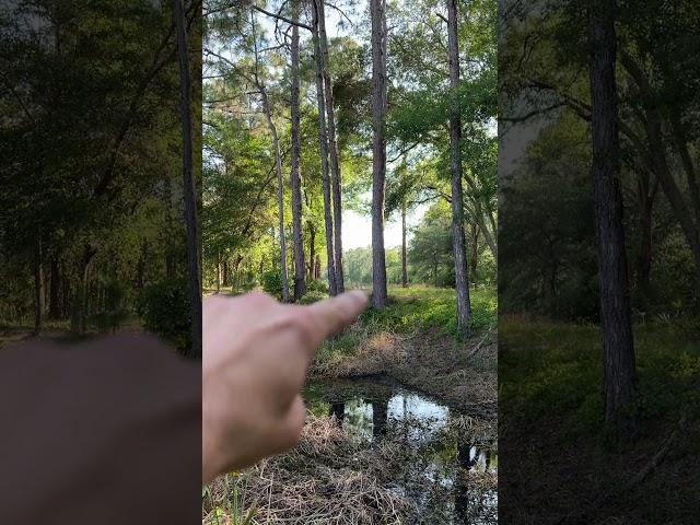 Рыбалка во дворе дома