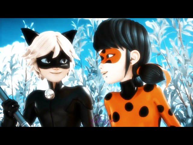 ๑We fell in love in october๑Edit๑Ladynoir