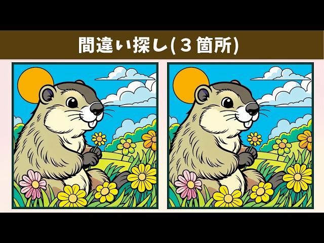 Spot the 3 Differences | Illustration Version #1674