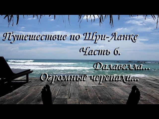 Путешествие по Шри Ланке. Далавелла. Райское местечко и огромные черепахи.