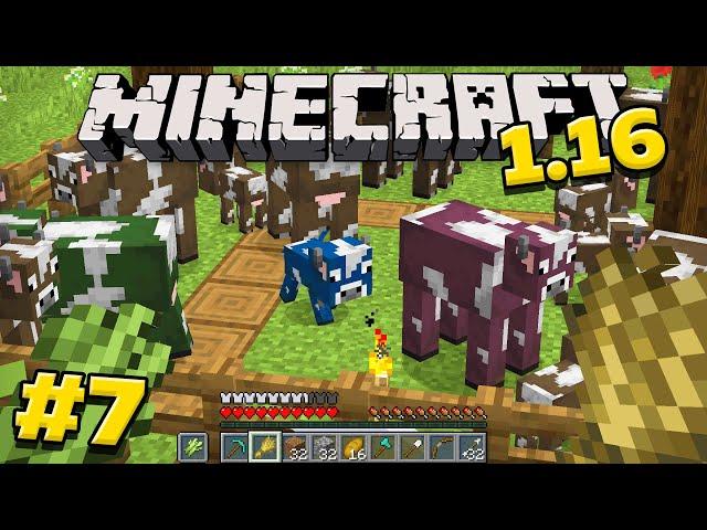 Майнкрафт 1.16 Выживание без модов! Бесконечная ферма Коров в minecraft! #7