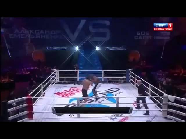 Александр Емельяненко против Боба Саппа! MMA. Бои без правил.