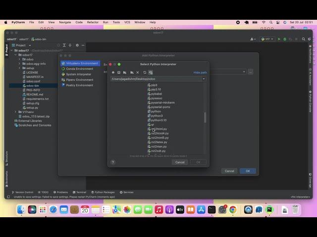 ODOO17 - PyCharm Configuration Setups