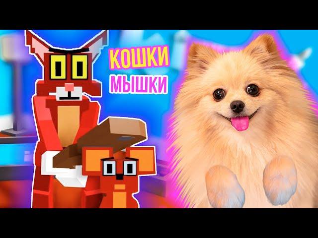 КОШКИ - МЫШКИ В РОБЛОКС | КОТИК ГРЕННИ ГОНЯЕТСЯ ЗА МЫШАМИ В ROBLOX | Kitty