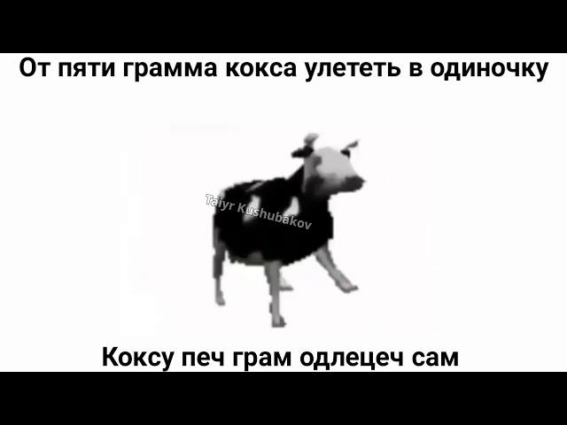 ПОЛЬСКАЯ КОРОВА - ПЕРЕВОД + КИРИЛЛИЦА