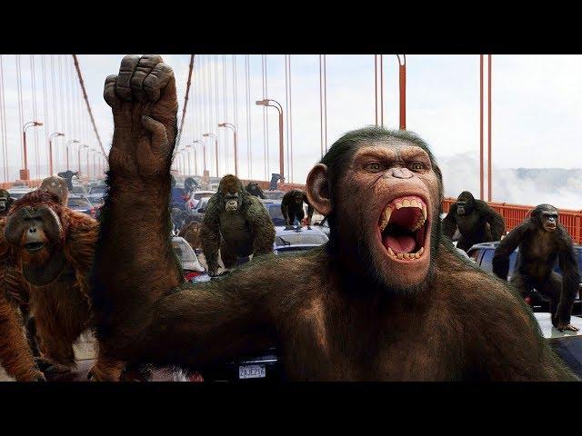 Apes vs Humans - Bridge Battle - Rise of the Planet of the Apes (2011) Movie Clip HD