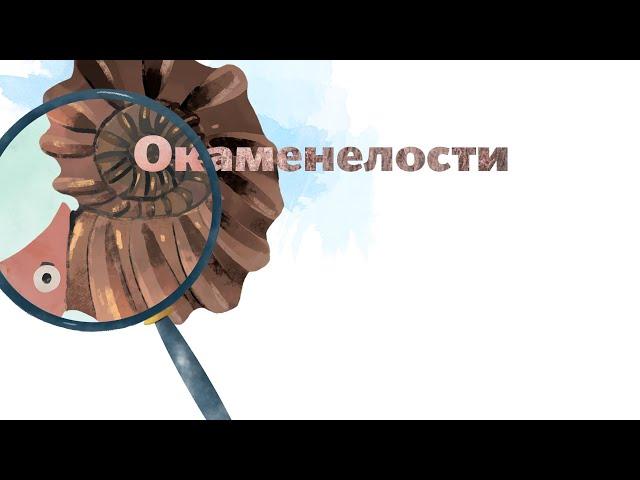 18. Окаменелости. Окружающий мир - 2 класс