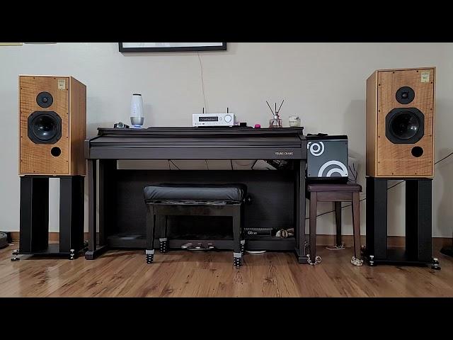 Onkyo R-N855 / Harbeth HL5ES - Despacito (JeA)