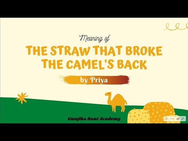 'The Straw That Broke The Camel's Back' Idiom - Meaning, Examples and Exercises (Hindi)