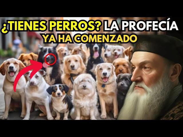 Lo Que NOSTRADAMUS  Predijo Para LOS DUEÑOS DE PERROS | Descubre las Profecías