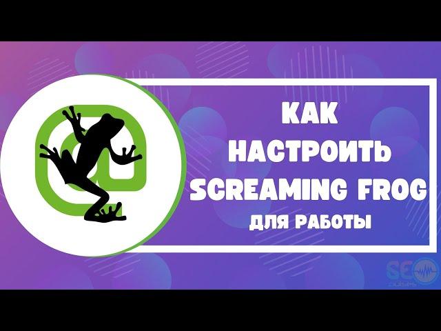 Базовая настройка Screaming Frog Seo Spider: пошаговая инструкция