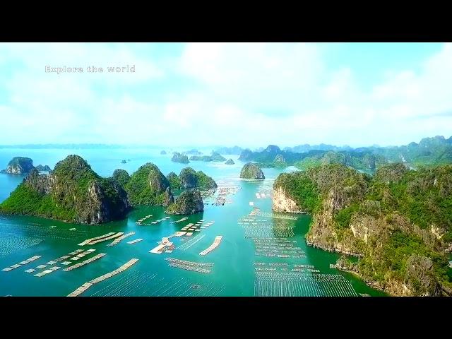 VỊNH BÁI TỬ LONG THÀNH PHỐ CẨM PHẢ , QUẢNG NINH - NƠI THẢ HÀU ĐẸP NHƯ TIÊN CẢNH - Ha long bay