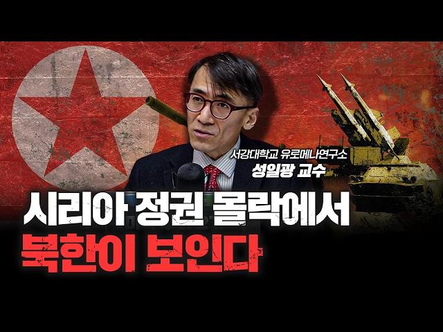 시리아 독재 정권 무너졌지만 바뀐 건 없다 | 성일광 서강대학교 유로메나연구소 교수 [심층인터뷰]