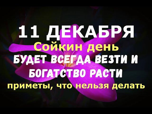 11 декабря. Сойкин день. БУДЕТ ВСЕГДА ВЕЗТИ И БОГАТСТВО РАСТИ/Народные приметы