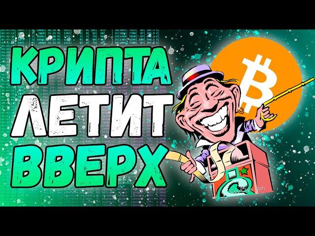 Наступает криптолето? | Прощай криптозима