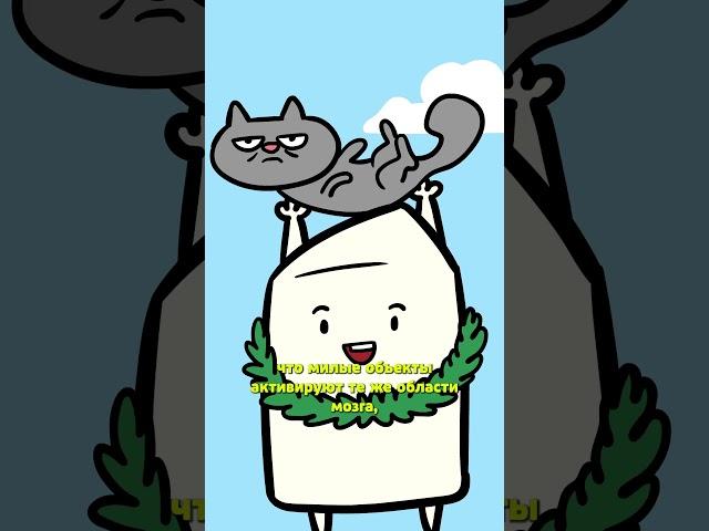 Прокрастинация полезна?  #научпоп #анимация #котики