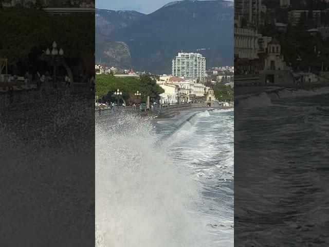 Крым шторм #олегялта #крым #ялта / Жизнь в Ялте
