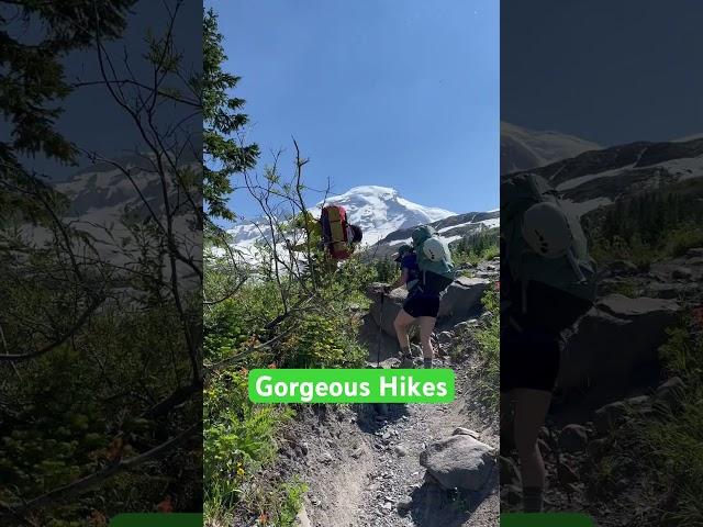 Gorgeous Hikes #mountbaker #hikerlife #hiking #mountaineering