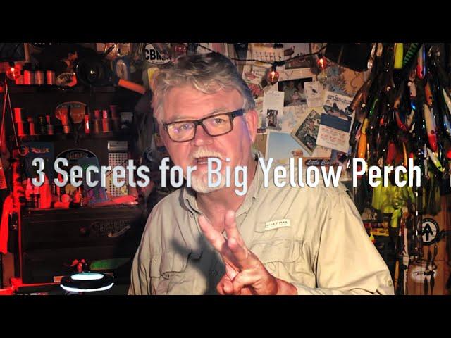 The Chesapeake Minute - 3 Secrets for Big Yellow Perch