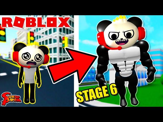 The Strongest Panda in Roblox! Let’s Play Roblox Lifting Simulator