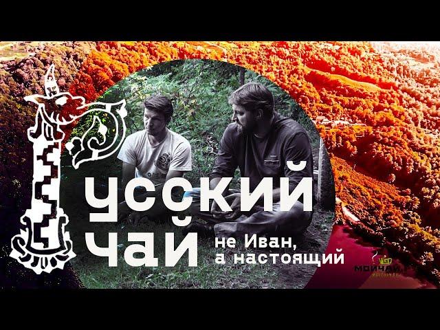 Русский чай. Кто и как делает наш чай в Краснодарском Крае. Не Иван, а настоящий.