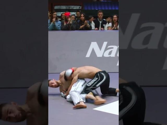 Tim Ha Always Brings HIGH ENERGY!
