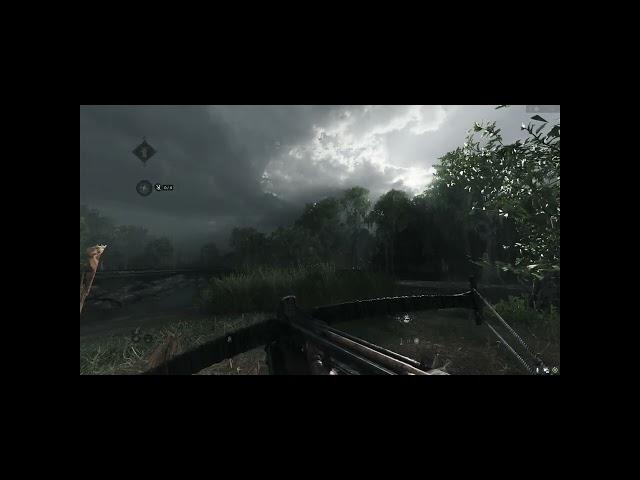 10 hour Rain Sounds From Hunt Showdown