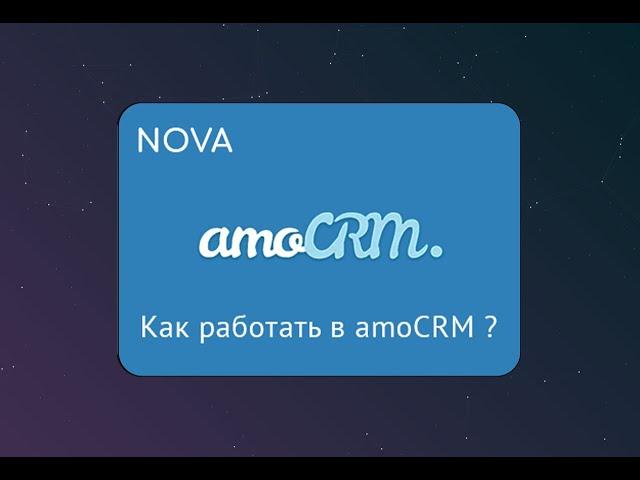 Виджеты в amoCRM