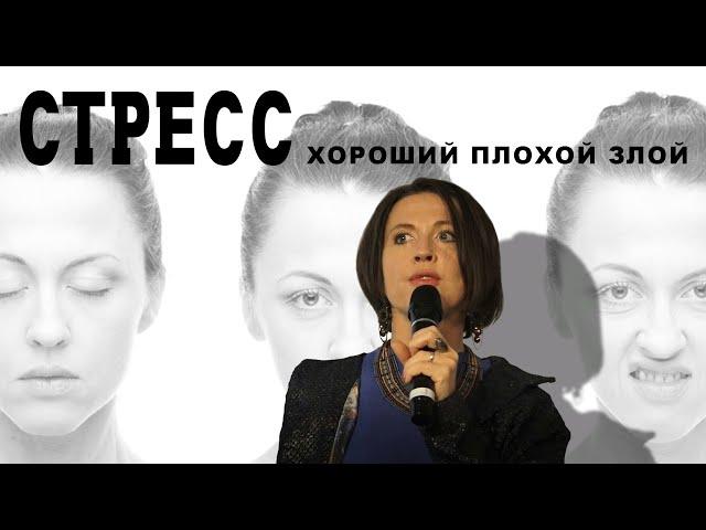 Стресс: хороший, плохой, злой // Лекция Евгении Тимоновой