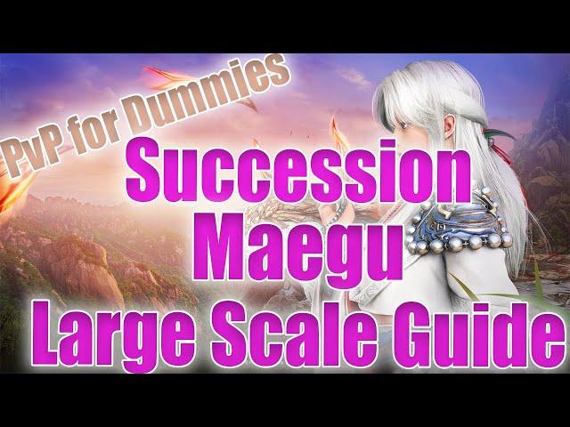 PvP for Dummies: Succession Maegu Guide | Funday Monday 103 featuring Faceboook!