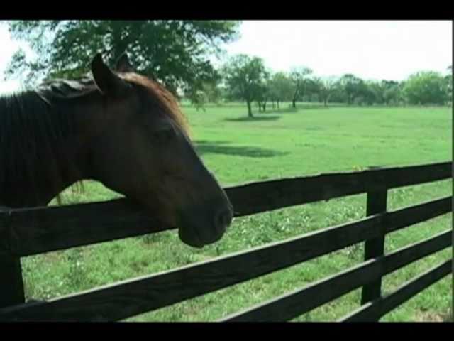 The Brazos Valley Bucket List - The Inn at Dos Brisas - Shane McAuliffe - KBTX News 3