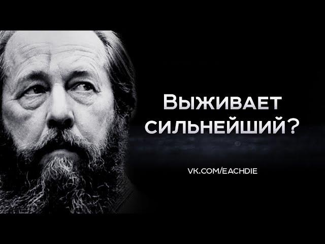 Выживает сильнейший?