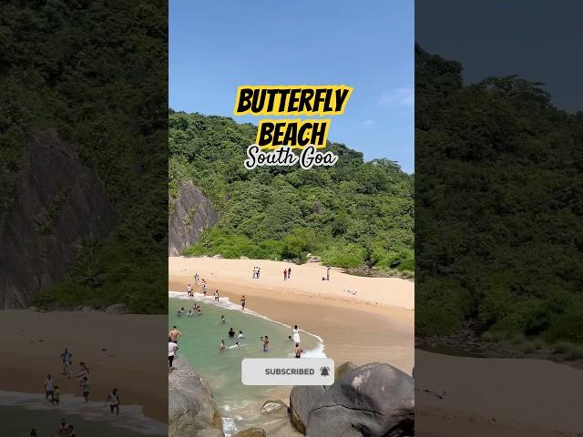 Butterfly Beach, South Goa, Palolem #goatrip #goatravel #newyear2025 #goavacation