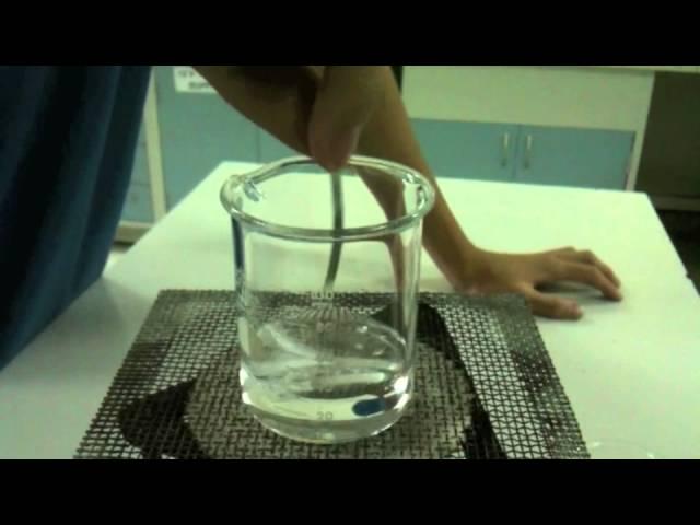 Magnesium Reaction with Sulphuric acid