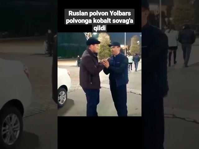 RUSLAN POLVON YOLBARS POLVONGA KOBALT SOVGA QILDI.