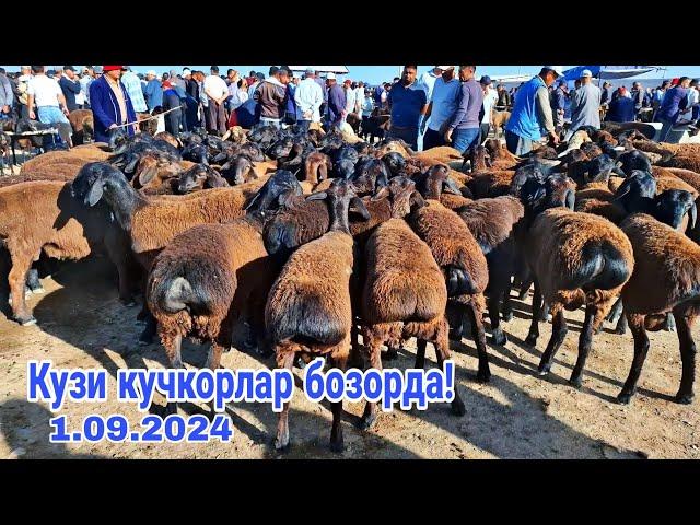 Карши Карвон мол бозори нархлари  1.09.2024