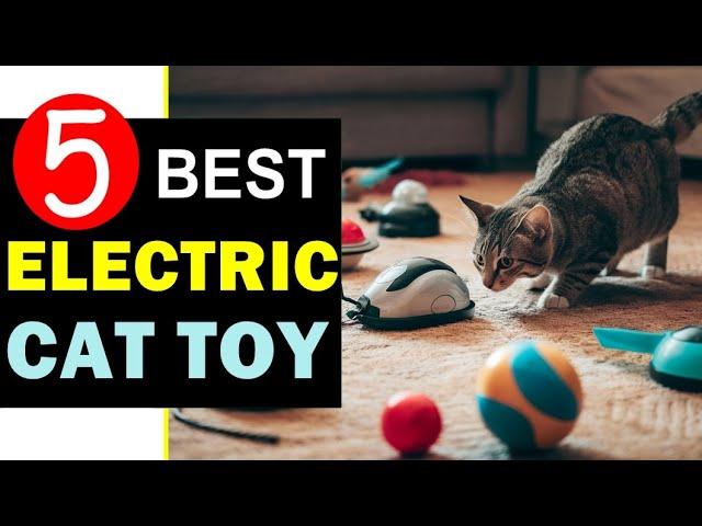 Best Electronic Cat Toys 2024  Top 5 Best Electronic Cat Toy Reviews