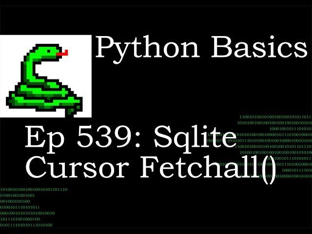 Python Basics Tutorial Sqlite Cursor Select Fetchall Method