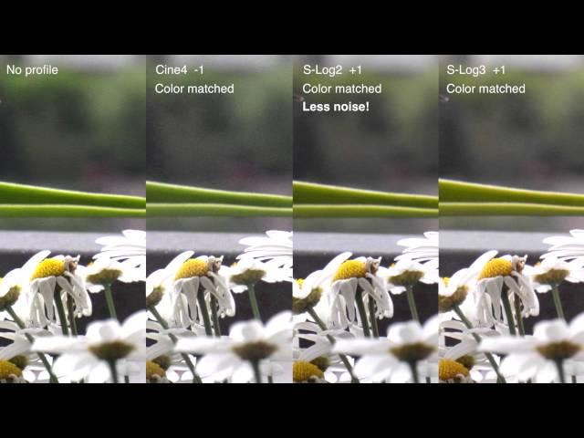 Sony a6300 test: S-Log2 vs. S-Log3 vs. Gamma Cine4