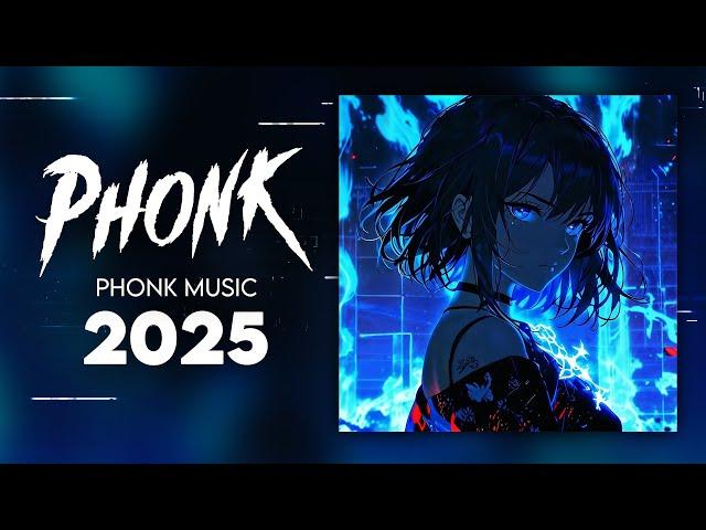 THE BEST PHONK MUSIC 2025 ※ BEST DRIFT PHONK & TIKTOK PHONK ※ Фонк 2025 #002