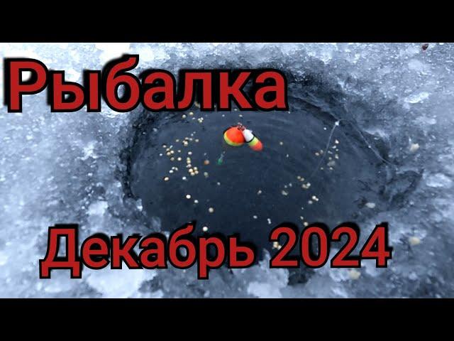 Рыбалка на поплавок 18 декабря 2024 г. на речке!В ЭТОЙ ЛУНКЕ СОБРАЛАСЬ ВСЯ РЫБА!КИВОК ГНЁТ КО ДНУ.